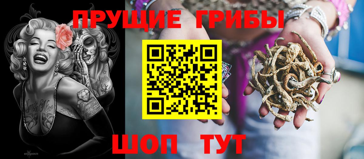 Алексеевка  Псилоцибиновые грибы прущие грибы  Вход с VPN 