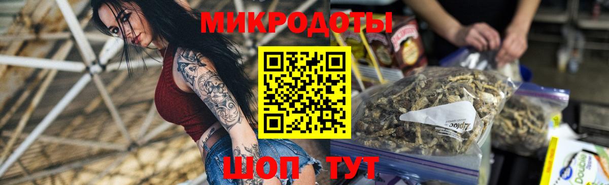 Галлюциногенные грибы Psilocybe Алексеевка